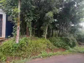 Jual Cepat Tanah Pinggir Jalan