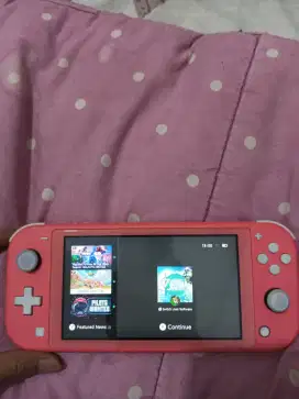 Nintendo Switch Lite