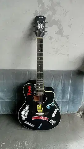 ARTISAN GITAR AR-APX 500