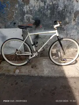 Sepeda Fiksi Element Doltrap
