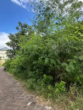 Jual Tanah 2are Lokasi Jl Dharmawangsa Nusa Dua Area Villa Komersil