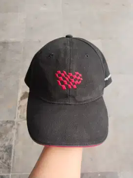 Topi Mobil Audi