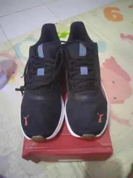 Sepatu Olah raga