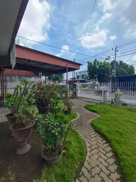 Rumah 1 Lantai Jalan Gaharu