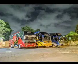Sewa rental big bus dan medium bus