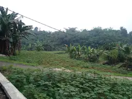10 Menit IPB Dramaga, Tanah Kavling Ciampea Hanya  1-Jtan Permeter SHM
