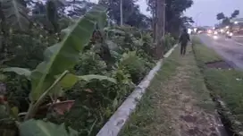 DIJUAL TANAH PINGGIR JALAN RAYA PRINGSURAT DEKAT AREA PERGUDANGAN