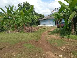DIJUAL TANAH MURAH DI JL RAYA BOGOR Prbatasan depok-cibinong msk mobil