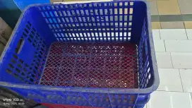 Keranjang krat kotak