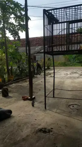 Dijual kandang burung / ayam bahan besi