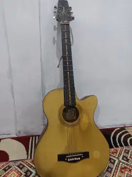 Gitar tanbes merk takamine