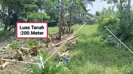 Di jual Cepat Tanah Murah Lokasi Kemang parung bogor