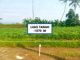 DI JUAL TANAH SURAT SHM MURAH
