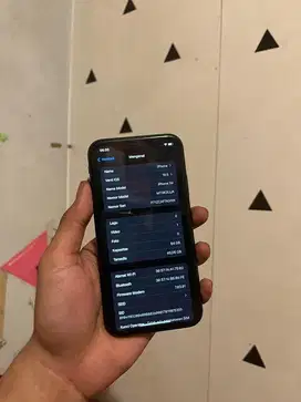 iphone xr 64 inter