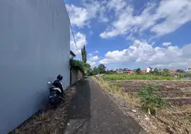 DIJUAL TANAH MURAH, BABAKAN,CANGGU, KUTA UTARA