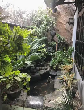 Rumah Asri dan Luas di Ciputat Timur, Tangerang Selatan