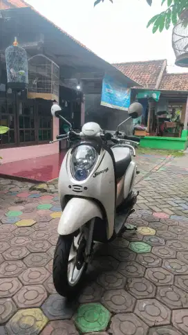 SCOOPY KARBU 2010
