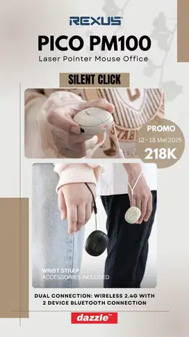 Pointer + Mouse pico PM100 rexus