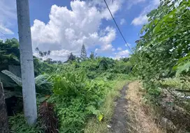 Jual Tanah Luas 1008m² Lokasi Babakan Canggu area Investasi Strategis