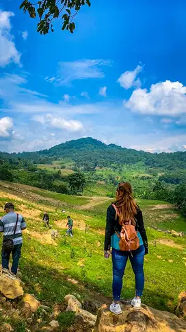 Punya Tanah Kavling Buat Investasi Sekaligus Tempat HEALING di Bogor