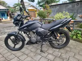 Tiger revo 2010