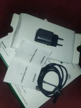 charger ugreen iphone 20 wat
