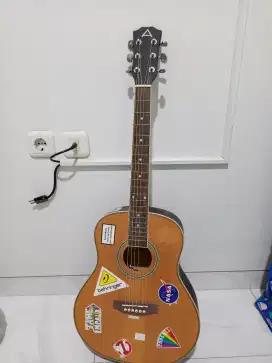 Gitar Anderson Akustik
