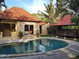 VILLA DI UBUD DENGAN VIEW SAWAH ABADI DIJUAL HARGA TANAH SAJA