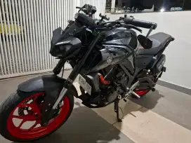 Yamaha MT 25  touring