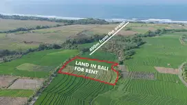 Leasehold Land for Sale in Kelating, Tabanan – 400m from the Ocean