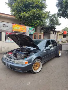 Honda Accord maestro