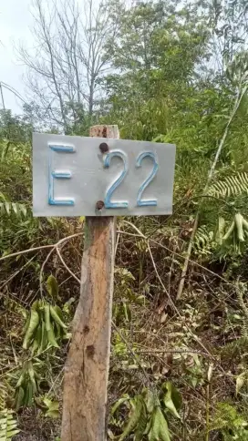 Dijual tanah 450m^2 rimbo panjang, kampar