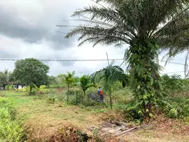 DIJUAL RUGI KARNA BU, Semuanya dengan Rumah Luas 2045meter persegi !!