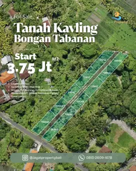 Tanah Kavling Strategis Hanya 20 Menit Dari Canggu