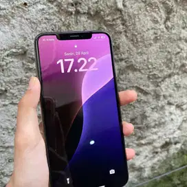 Apple iPhone Xs Max 256 iBox