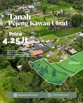 Dijual Tanah Di Tiatiapi Pejeng Kawan Ubud Gianyar