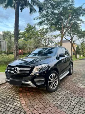 Mercedes Benz GLE250d Diesel 2018 Mercy GLE Palisade
