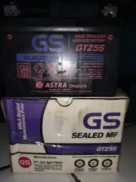 Aki Kering GS ( GTZ5S )