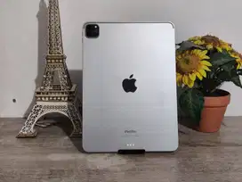 Apple Ipad Pro 11 Inch M2 2022 256GB Wifi