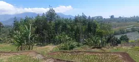 Tanah dijual 4200 m2