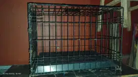 Kandang kucing kokoh