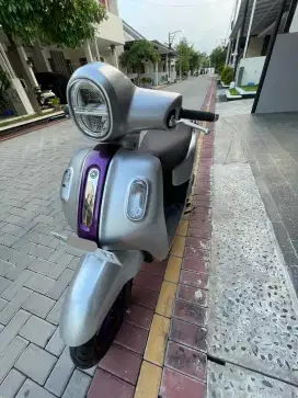 Fazzio Lux 2023/2022