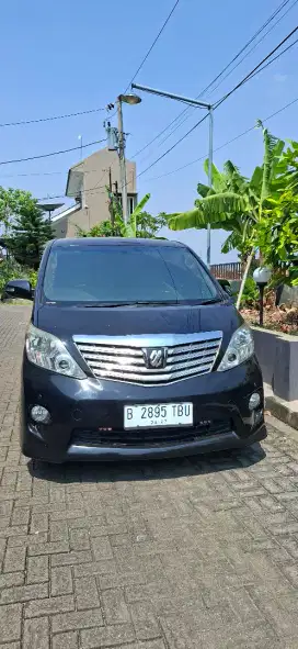 Alphard S 2010 alles