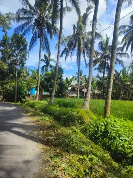 Tanah Murahh !!!