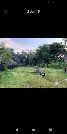 Tanah di jual lokasi strategis di Mejolosari, Gudo, Jombang