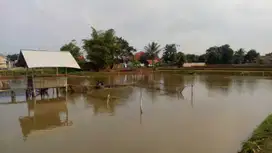 Dijual Murah Kolam Ikan di Pasawahan Purwakarta
