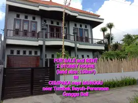 HOUSE FOR SALE or RENT near PERERENAN CANGGU, rice field view