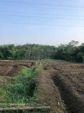 TANAH MURAH MALANG