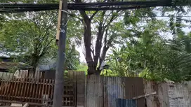 DIJUAL LAHAN KOSONG KAWASAN DAAN MOGOT LOKASI STRATEGIS