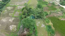 Jual Tanah di Desa Pangkat, Jayanti, Tangerang - Banten